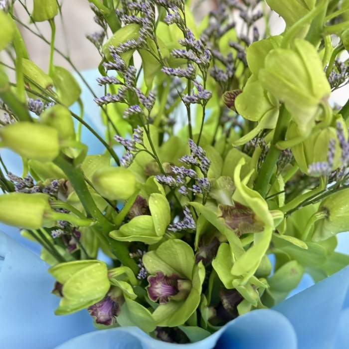 Букет из зеленых орхидей дендробиум