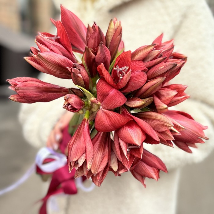 Букет невесты из красных амарилисов