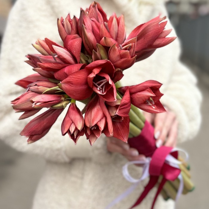 Букет невесты из красных амарилисов