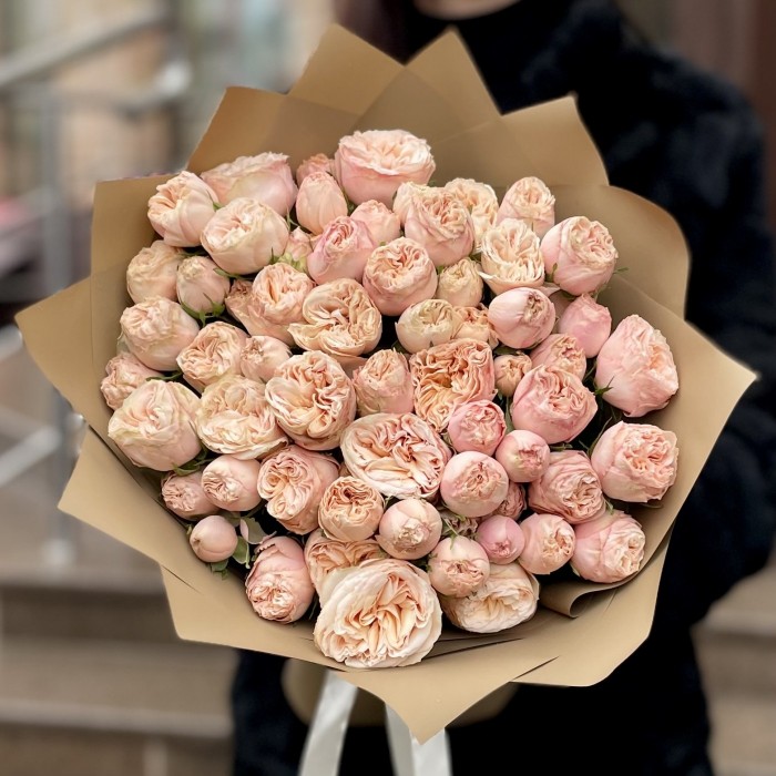 15 кустовых пионовидных роз Джентл трендсеттер 60 см