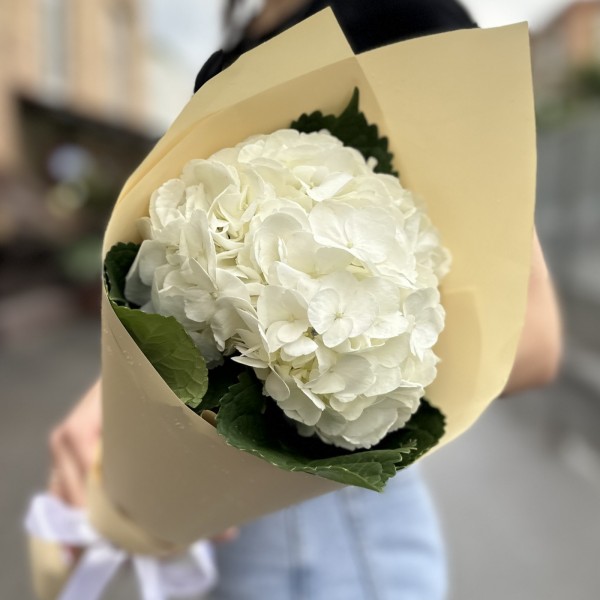 Букет с белой гортензией в упаковке