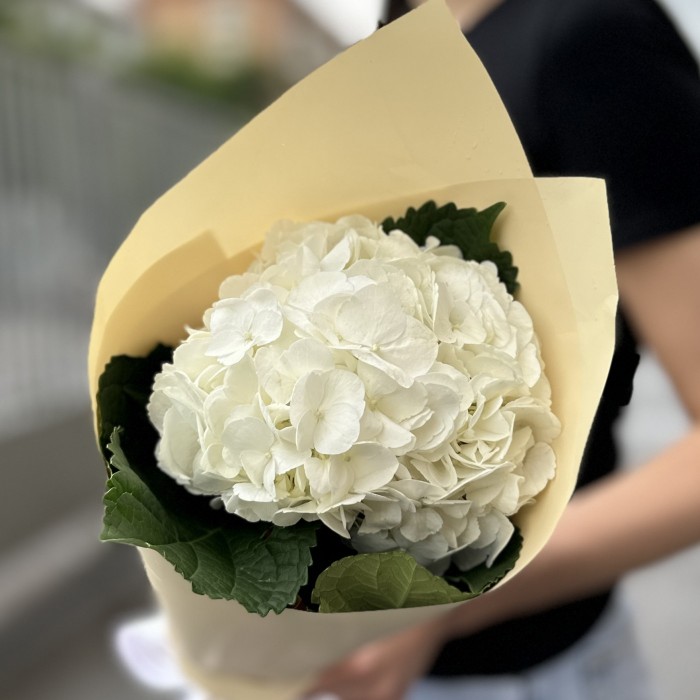 Букет с белой гортензией в упаковке