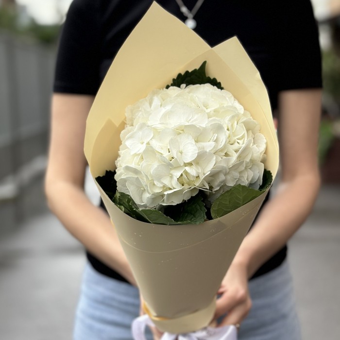 Букет с белой гортензией в упаковке