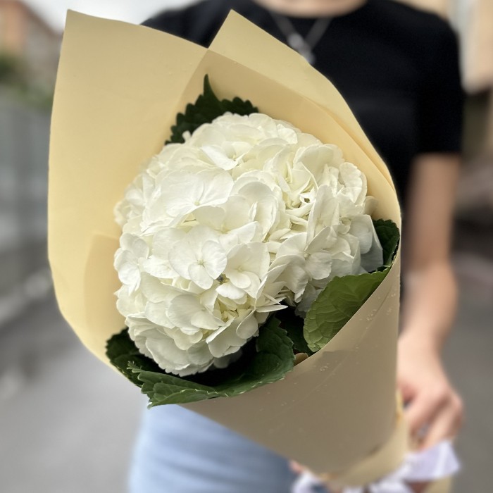 Букет с белой гортензией в упаковке