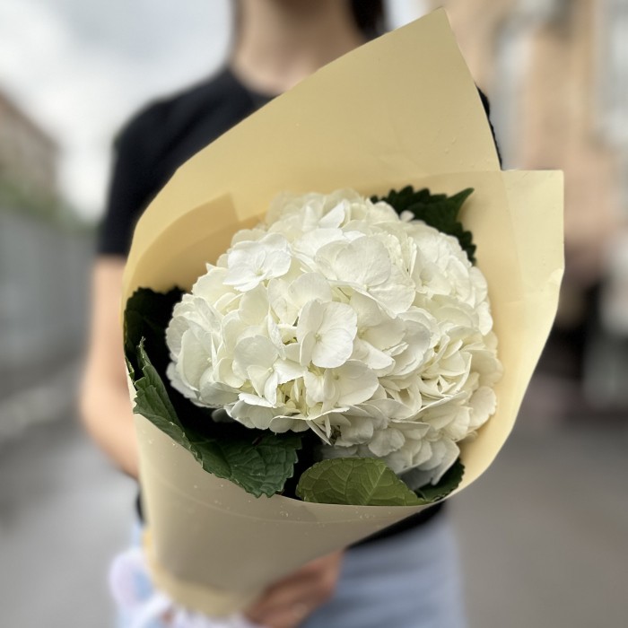 Букет с белой гортензией в упаковке