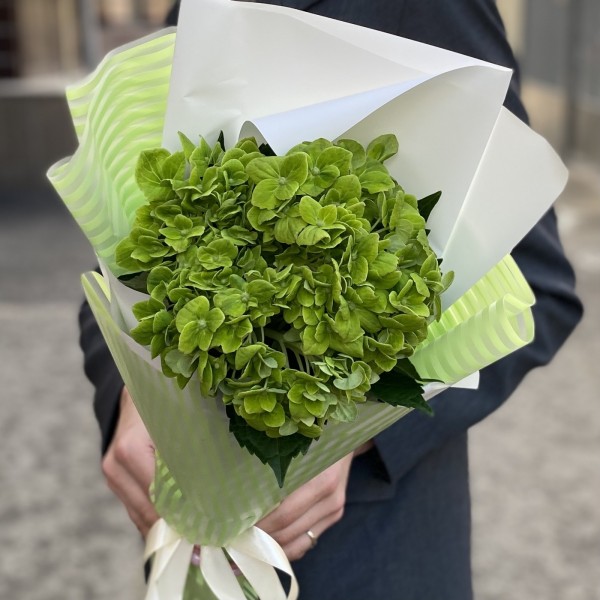 Букет с гортензией Дарк Грин
