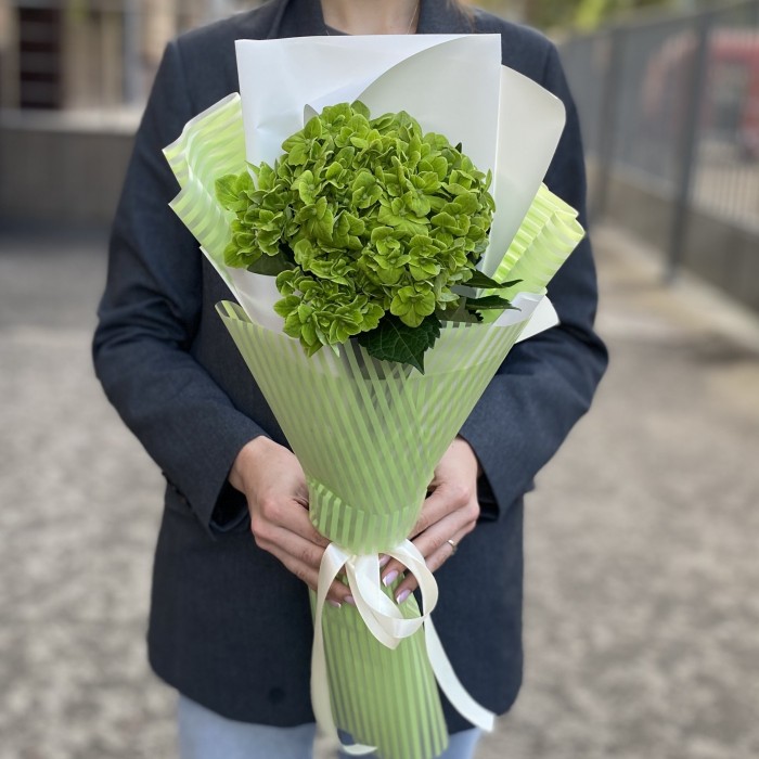 Букет с гортензией Дарк Грин