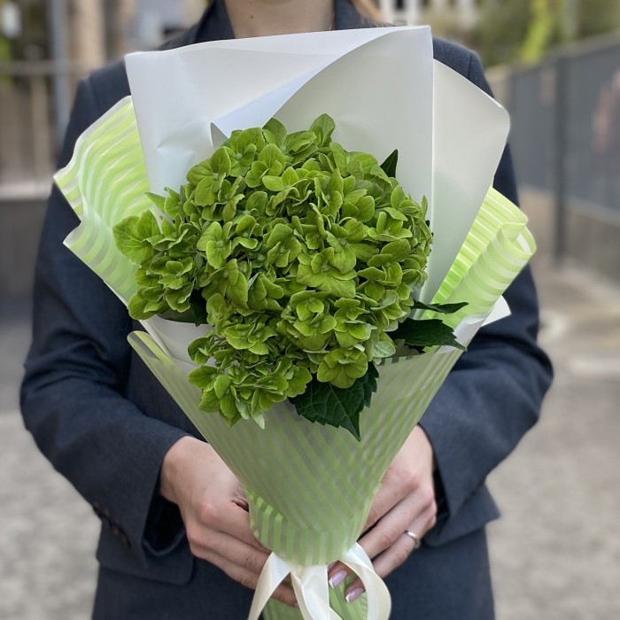 Букет с гортензией Дарк Грин