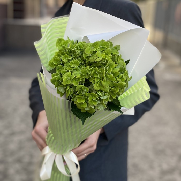 Букет с гортензией Дарк Грин