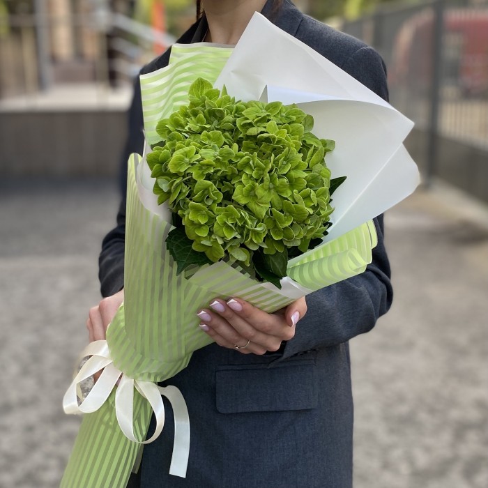 Букет с гортензией Дарк Грин