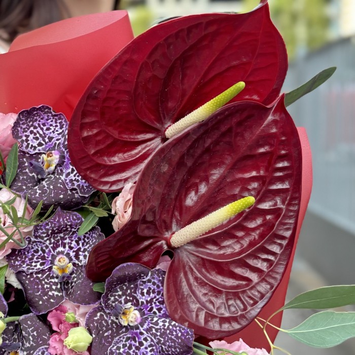 Букет с орхидеями и красным антуриумом