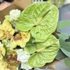 Букет с орхидеями и зеленым антуриумом