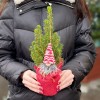 Ель Коника 30 см в мешковине с Сантой