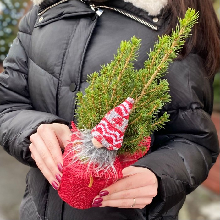 Ель Коника 30 см в мешковине с Сантой