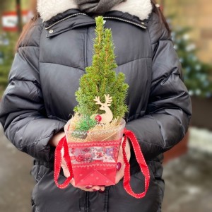 Ель Коника в сумочке