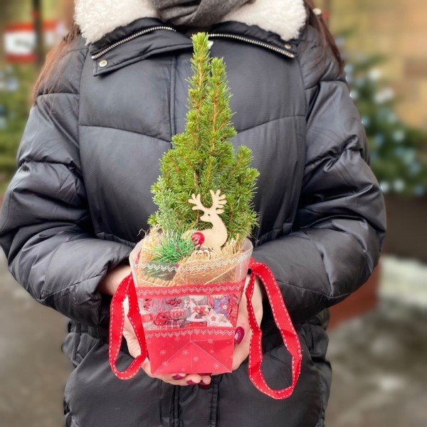 Ель Коника в сумочке