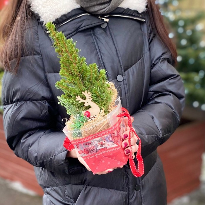 Ель Коника в сумочке