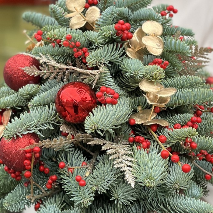 Елка Яркая Встреча