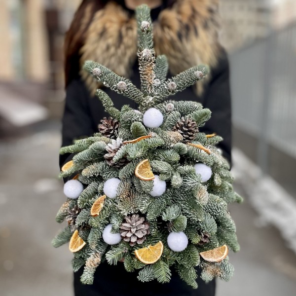 Елка Новогодняя Ночь