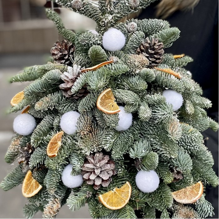 Елка Новогодняя Ночь