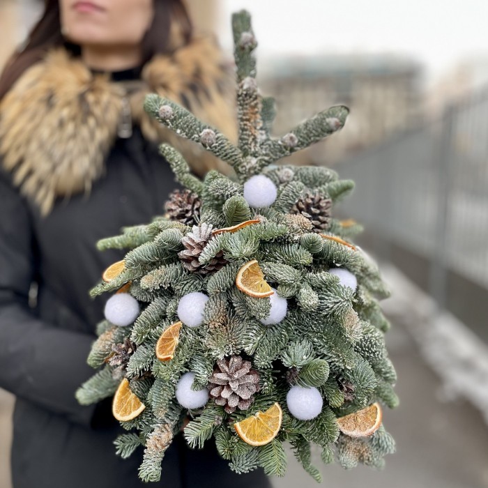 Елка Новогодняя Ночь