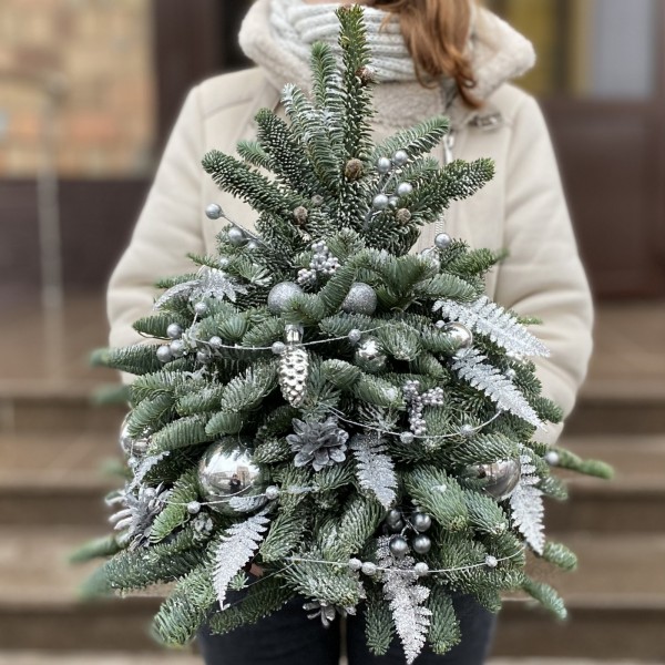 Елка Серебряная Ночь