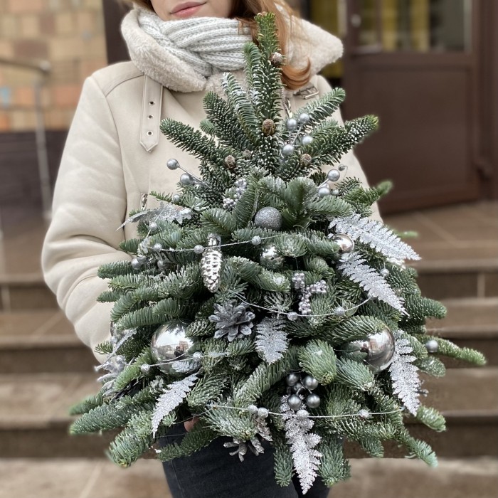 Елка Серебряная Ночь