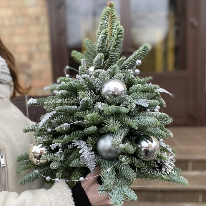 Елка Серебряная Ночь