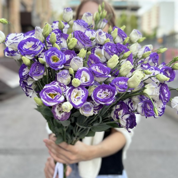 Эустома бело фиолетовая