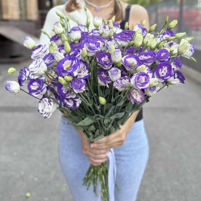 Эустома бело фиолетовая