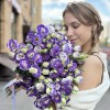 Эустома бело фиолетовая
