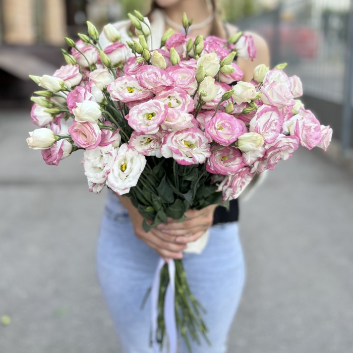 Эустома бело розовая