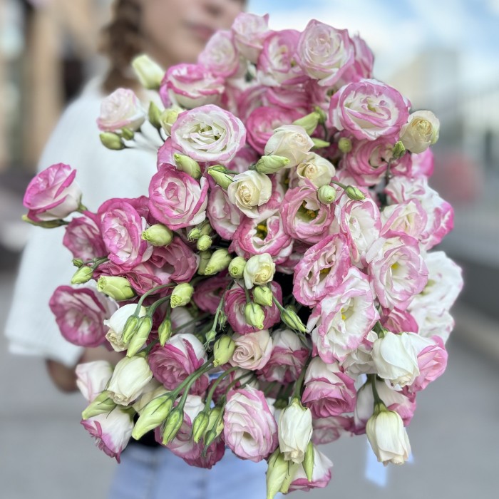 Эустома бело розовая