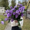 Эустома лавандовая