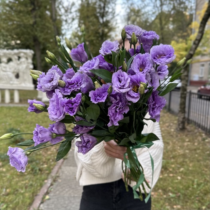 Эустома лавандовая