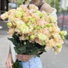 Эустома махровая  Шампань