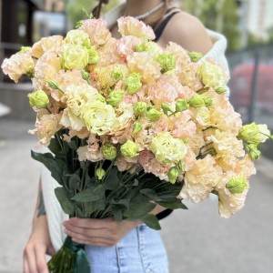 Эустома махровая  Шампань