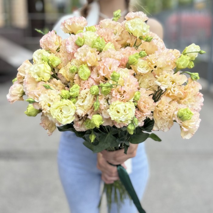 Эустома махровая  Шампань