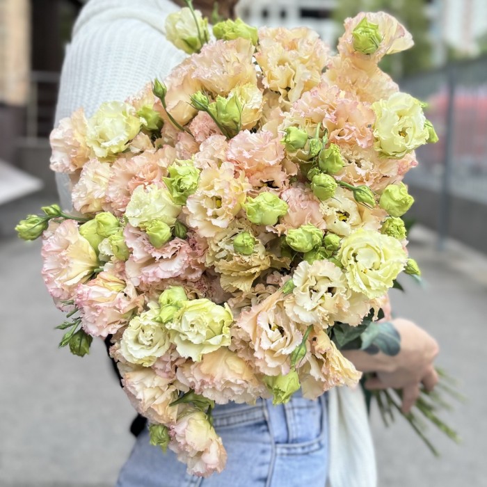 Эустома махровая  Шампань