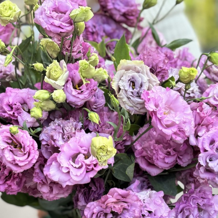 Эустома махровая лавандовая