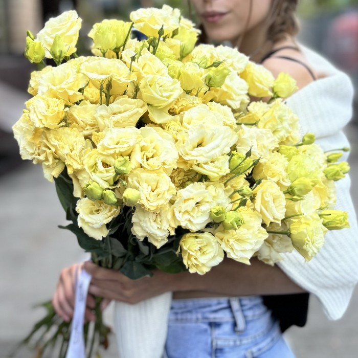 Эустома махровая кремовая