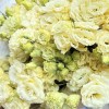 Эустома махровая кремовая