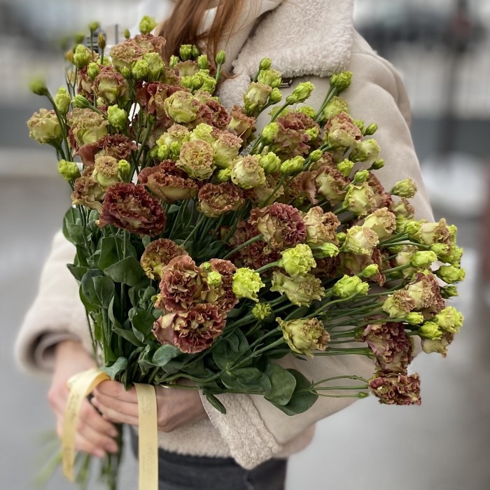 Эустома шоколадная