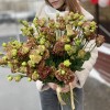 Эустома шоколадная