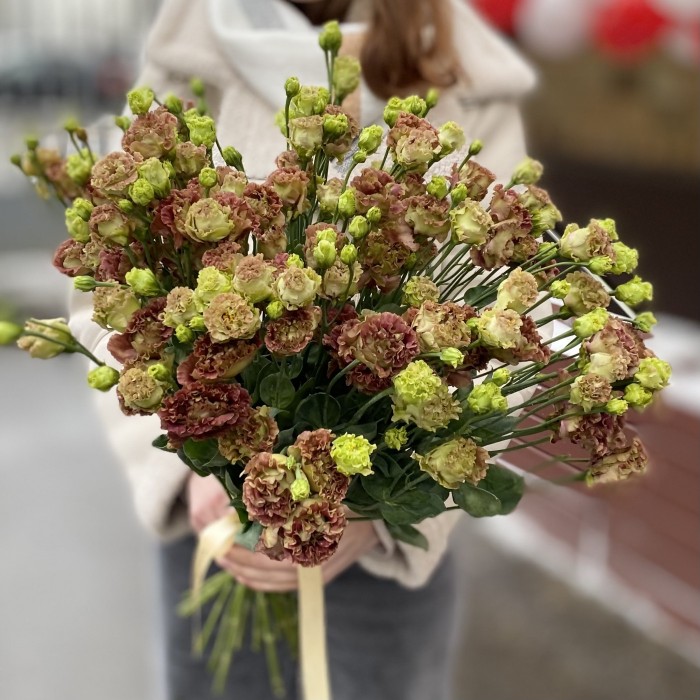 Эустома шоколадная