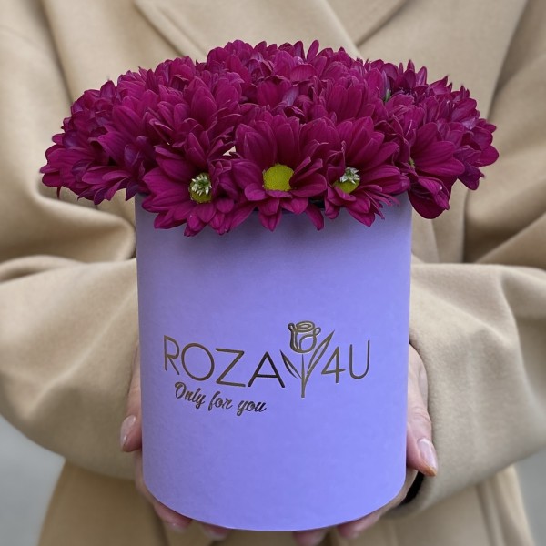 Фиолетовые кустовые хризантемы в коробке