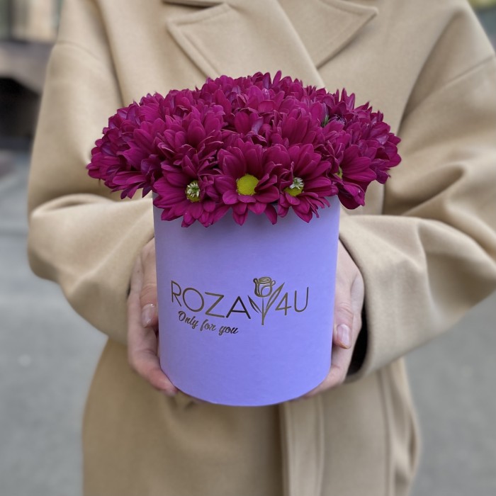 Фиолетовые кустовые хризантемы в коробке