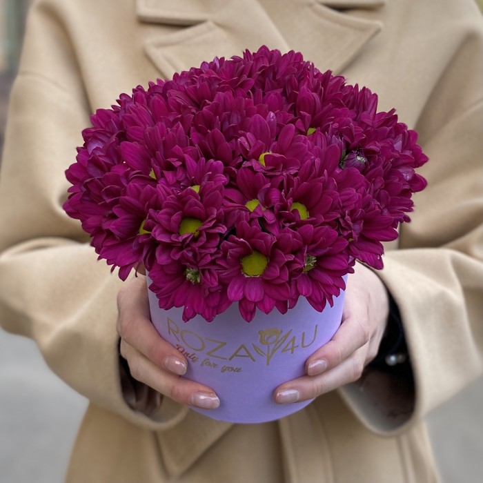Фиолетовые кустовые хризантемы в коробке