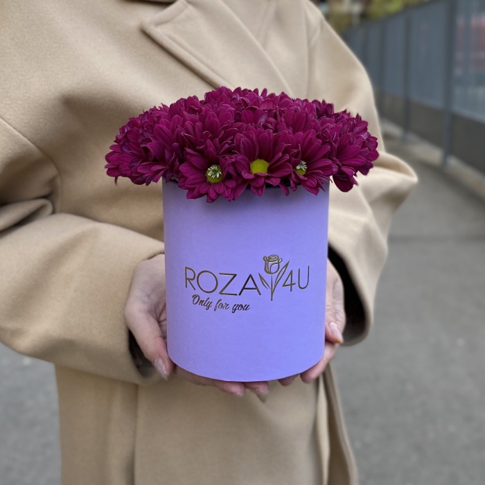Фиолетовые кустовые хризантемы в коробке