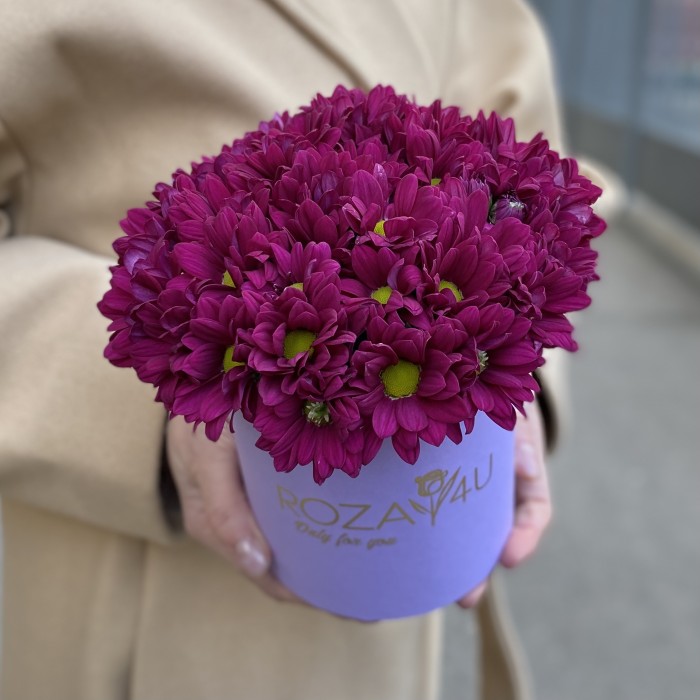 Фиолетовые кустовые хризантемы в коробке